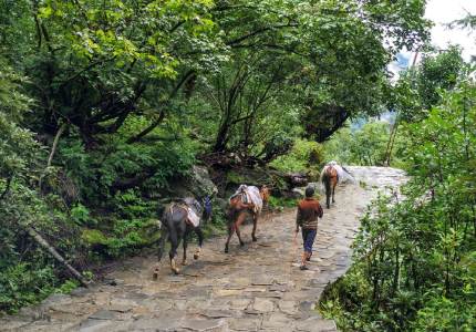 Hemkunt Sahib Tour from Chandigarh