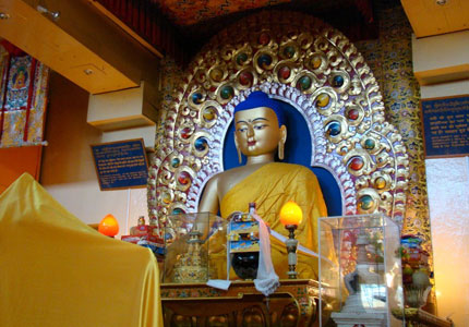 Himachal Dharamshala Explorer Tour