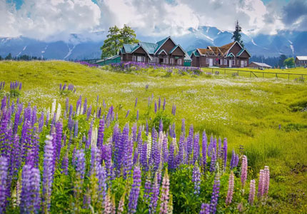 Kashmir Valley Tour from Chandigarh