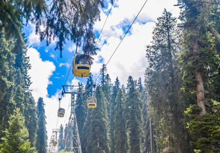 Srinagar Honeymoon Tour from Chandigarh