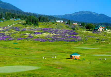 Romantic Kashmir Tour from Amritsar