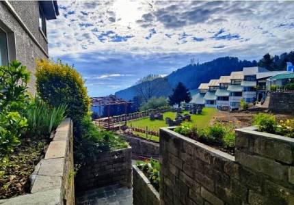 Chandigarh To Shimla Honeymoon Tour