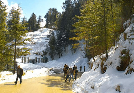 Shimla Manali Scenic Trip from Chandigarh