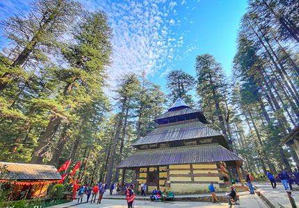 Honeymoon in Manali Hills