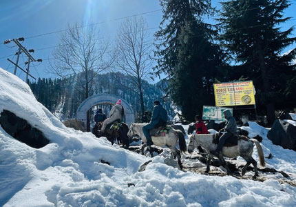 Honeymoon in Manali Hills