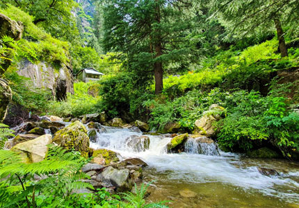 Manali