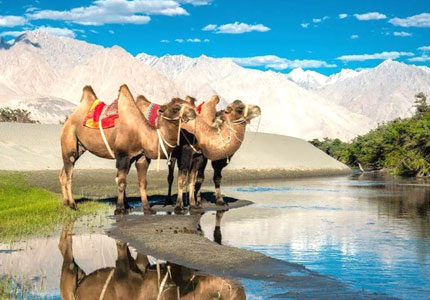 9 Days Leh Nubra Pangong Tour from Chandigarh