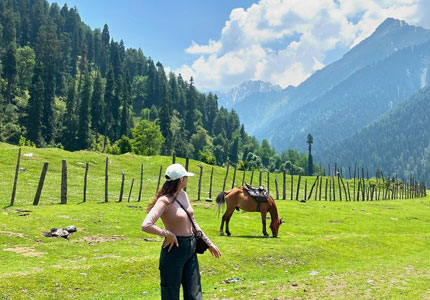 Srinagar Honeymoon Tour from Chandigarh