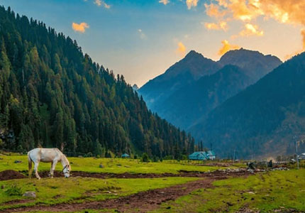 Srinagar Valley Escape from Amritsar