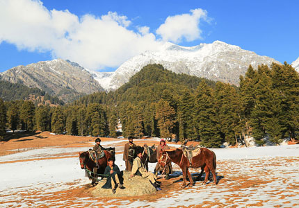 Gulmarg Pahalgam Holiday Package
