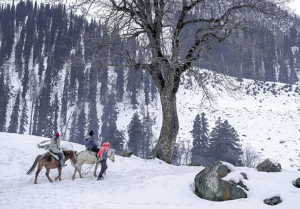 Gulmarg Pahalgam Holiday Package