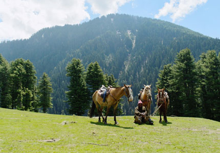 Srinagar Gulmarg Pahalgam Sonmarg Package From Amritsar