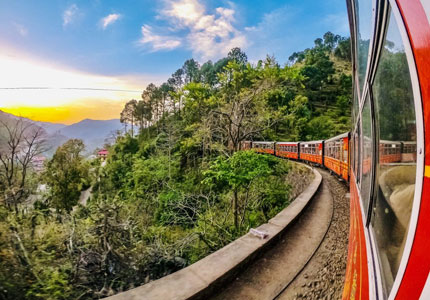 Shimla