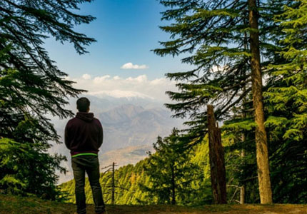 Shimla