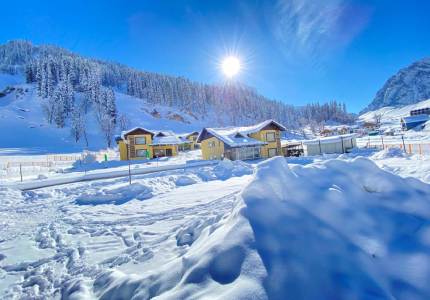 Srinagar Honeymoon Tour from Chandigarh
