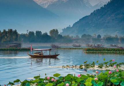 Srinagar Honeymoon Tour from Chandigarh