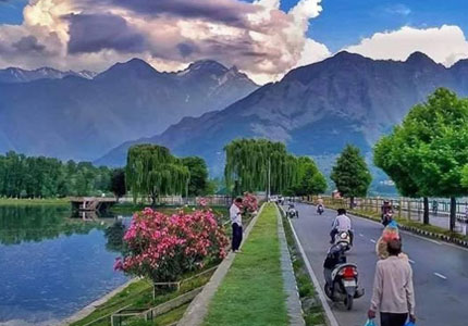 Srinagar Honeymoon Tour from Chandigarh
