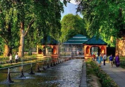 Srinagar Honeymoon Tour from Chandigarh