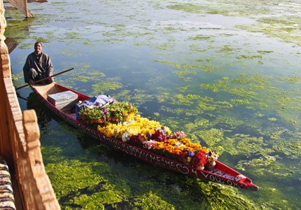 Srinagar