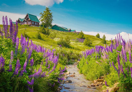 Gulmarg