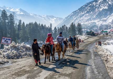 Group Tours